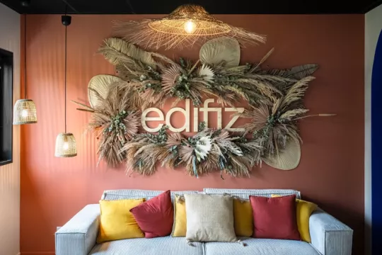 Logos végétaux ou en bois - 2