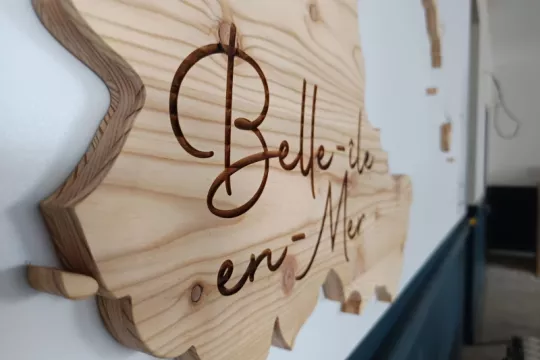 Logos végétaux ou en bois - 1