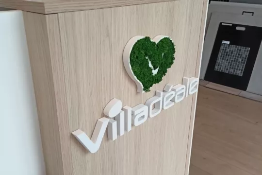 Logos végétaux ou en bois - 3